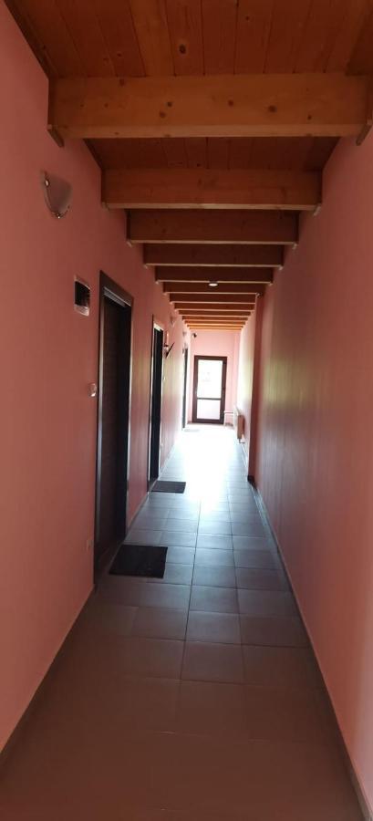 Pensiune Si Cazare La Mitza Giarmata Exterior foto